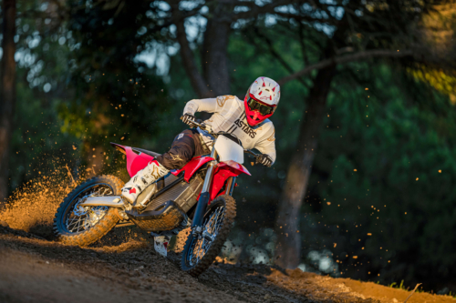 STARK VARG ALPHA STARK VARG ALPHA