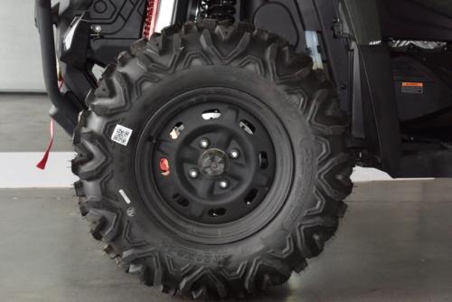 AODES Pathcross 650 S (SE) / ODES 2025