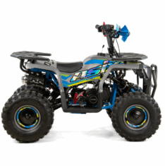 Quad ASIX M10 50cm3