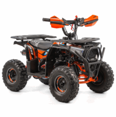 Quad ASIX M10 50cm3