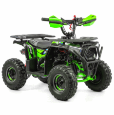 Quad ASIX M10 50cm3