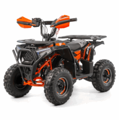 Quad ASIX M10 50cm3