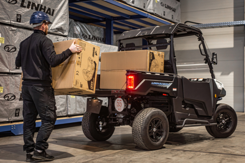 Elektryczny UTV LINHAI LH-80DU