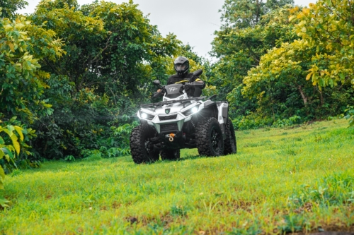 ELEKTRYCZNY QUAD TAIGEN S